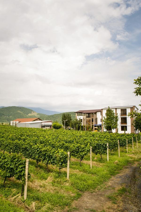 Shaloshvili'S Cellar Hotel Shilda Exterior photo